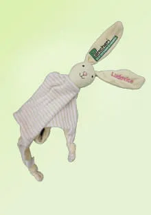 Hase