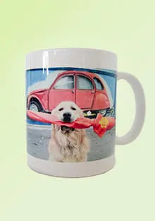 Tasse
