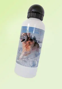 Trinkflasche
